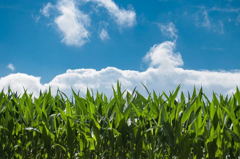 Propriétaires agricoles dans le Gers ? Optez pour le Bail rural à long terme !